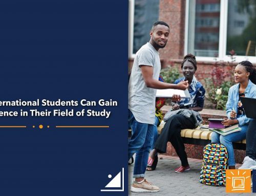 How International Students Can Gain Experience in Their Field of Study