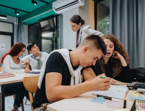 7 Career Certificate Wins for International Students